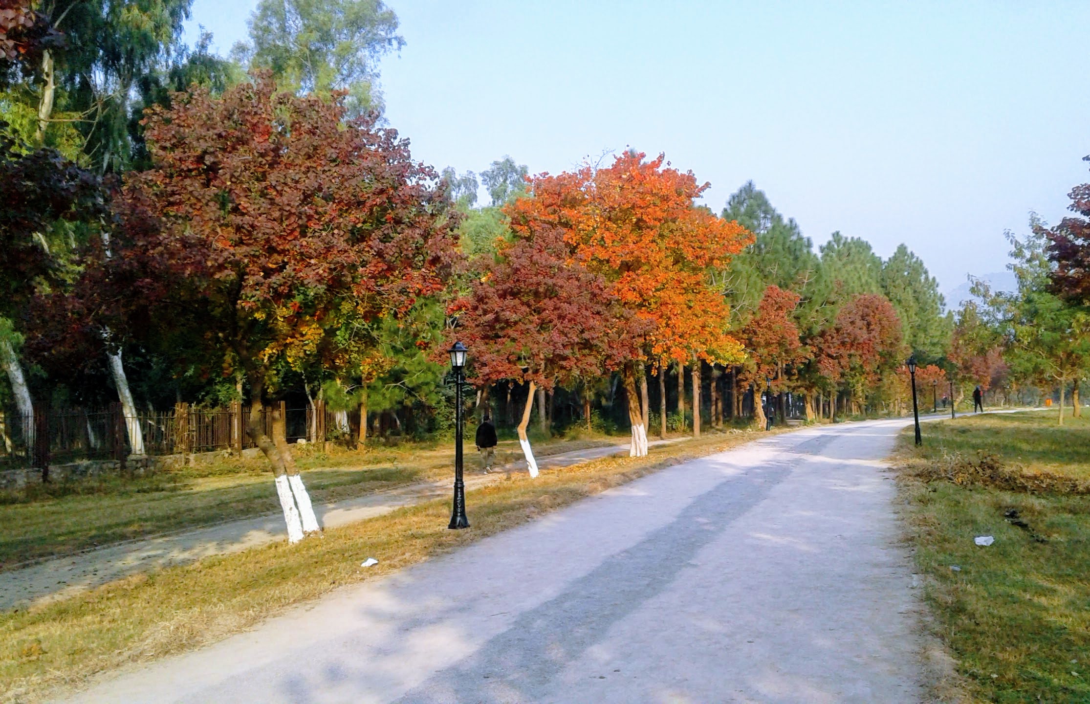 colors of Autumn